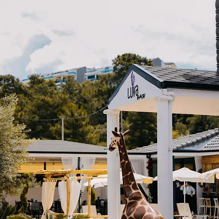 Luva Butik Albergue *